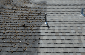 Roof-Cleaning-300×194 Roof Cleaning